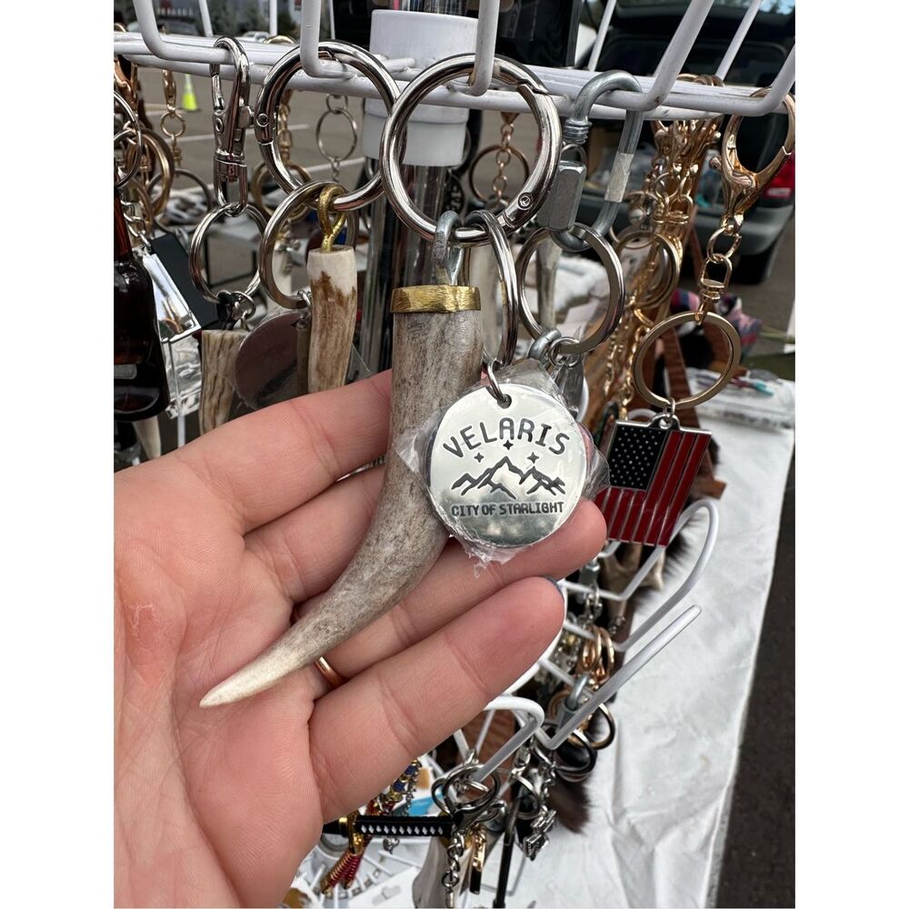Acotar Valaris Deer Antler Keychain Books Feyre City of Starlight Fans Gift - Picture 1 of 1